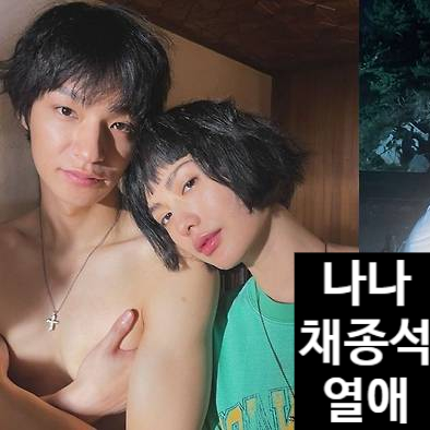 나나 채종석 열애 채종석만 연애 인정 나나는 침묵 유지