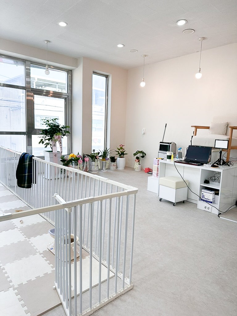 마메네일 사진 6