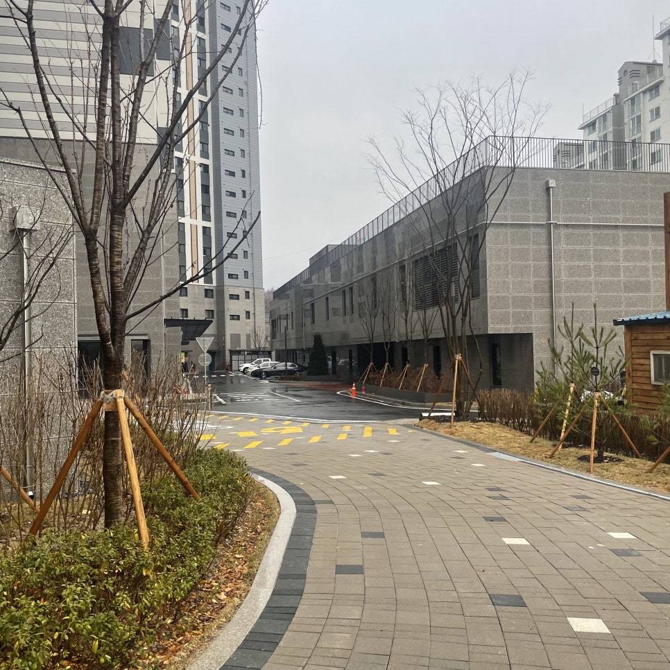 하이글로시 사진 2