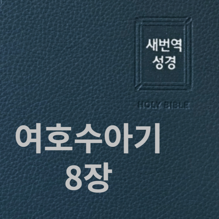 여호수아기 8장 여호수아기 8장
