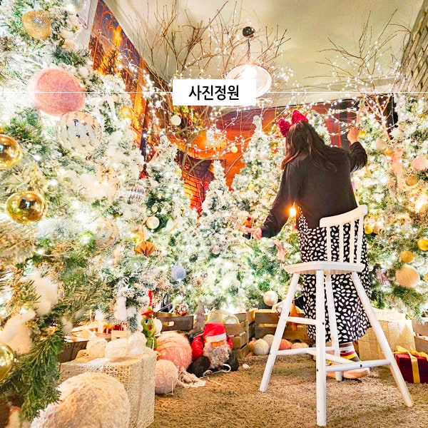  강원도 원주 가볼만한곳 크리스마스 카페 데이트 사진정원 볼거리 애견동반 OK