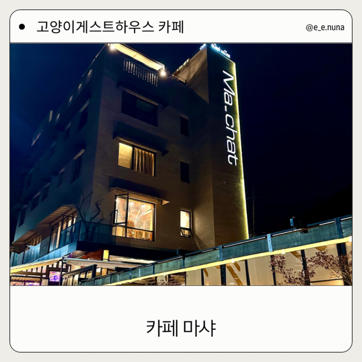  [목포 카페]양을산 입구 야외 분위기좋은 고양이 게스트하우스 카페 마샤