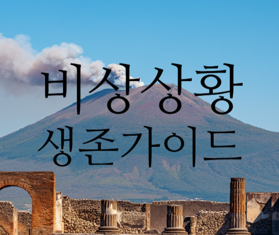  전쟁 및 극한 비상 상황에서의 생존 가이드