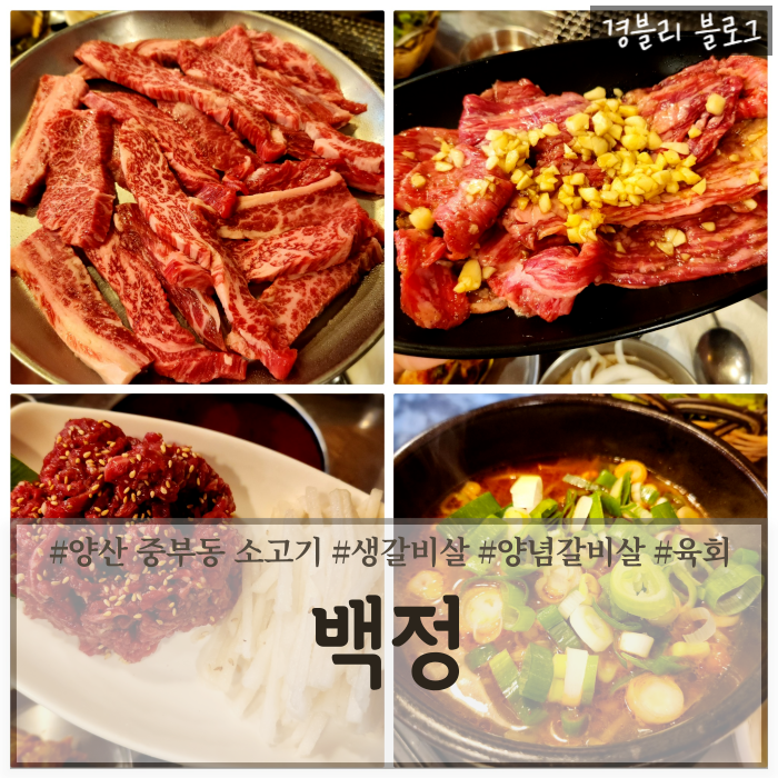  양산 중부동 소고기 맛집 양산역 가성비좋은 한우생갈비맛집 '백정'