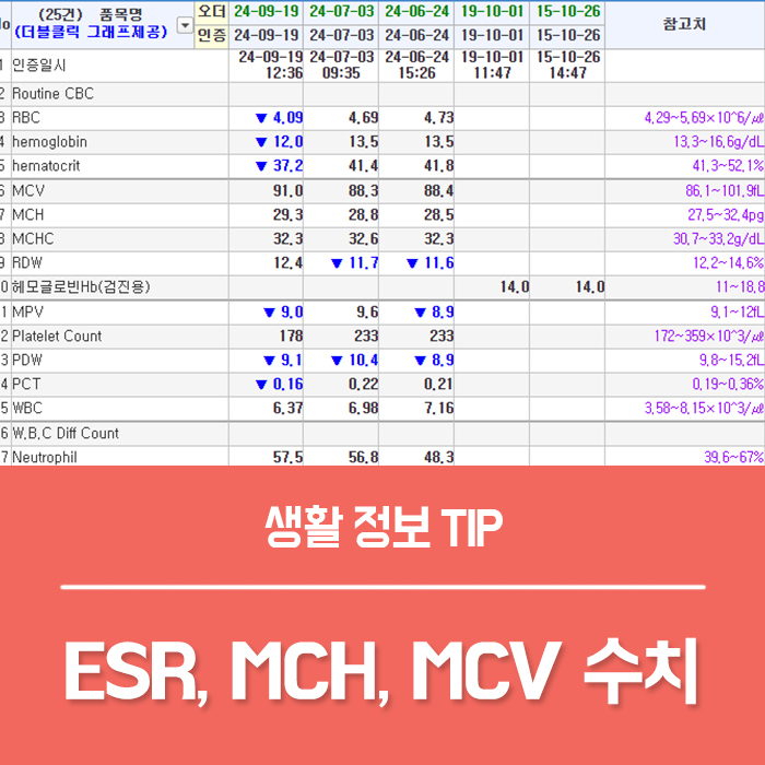  ESR 정상수치  MCH 수치 높으면? MCHC MCV 뜻