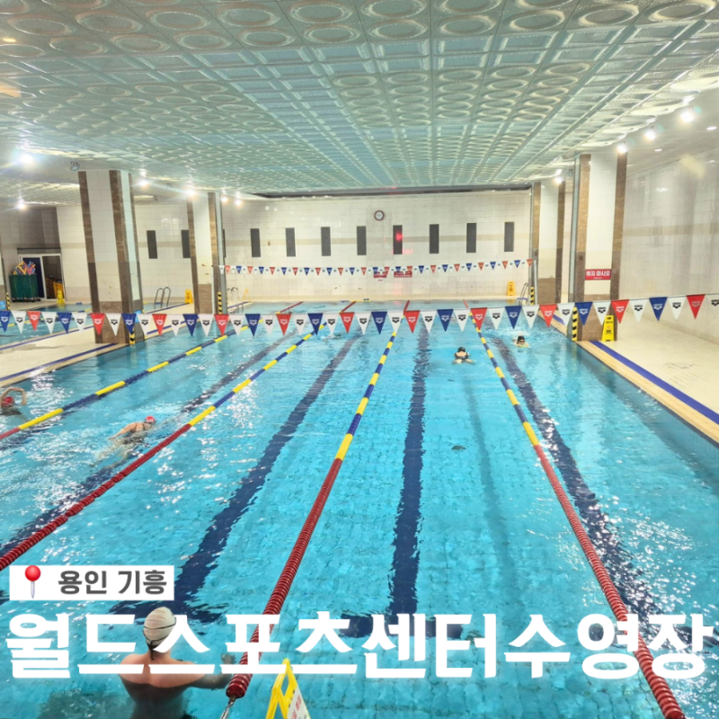 [용인기흥] 월드 스포츠센터 수영장 후기