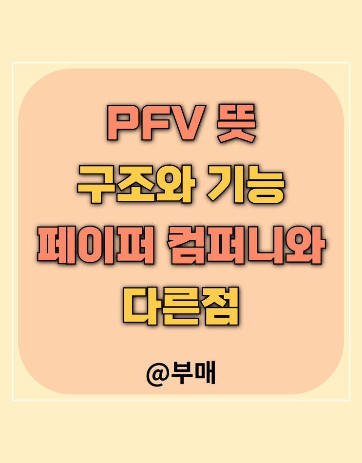  PFV 뜻과 페이퍼 컴퍼니와 차이점