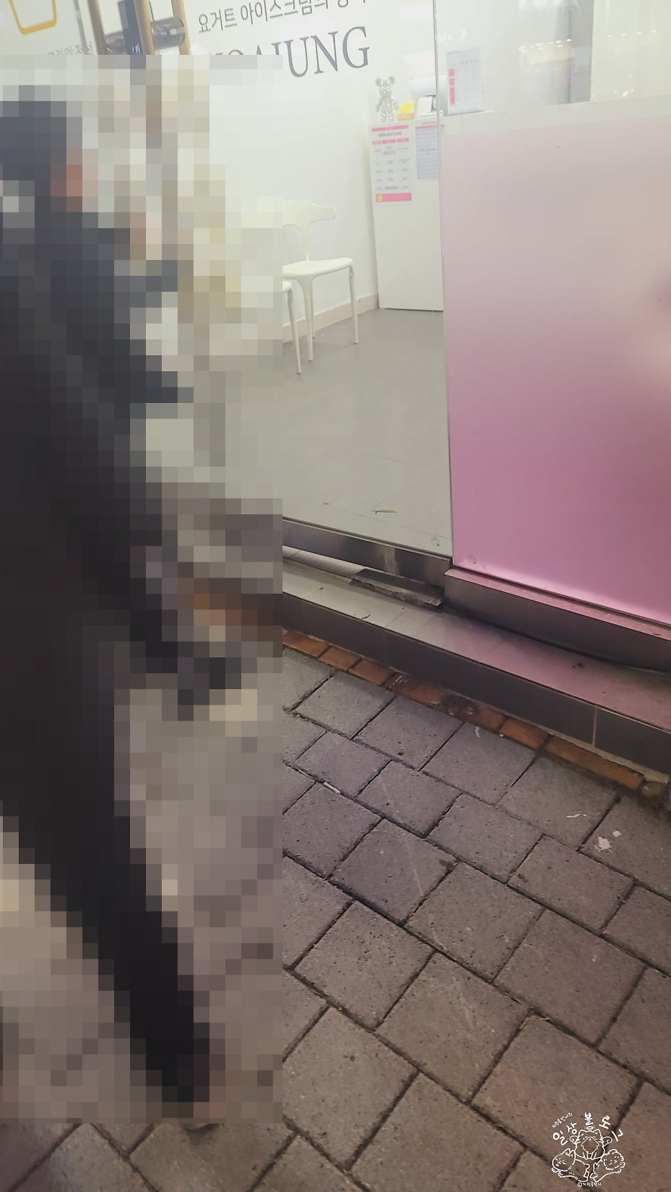 요거트아이스크림의정석 김제점 사진 2