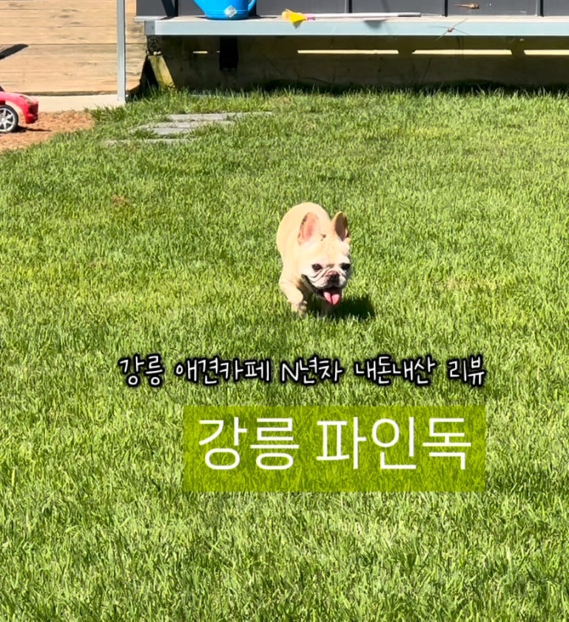 사진 3