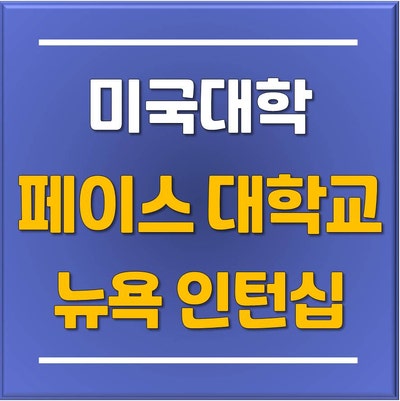  뉴욕 취업 및 인턴십을 위해 선택하는 Pace University (페이스 대학교)