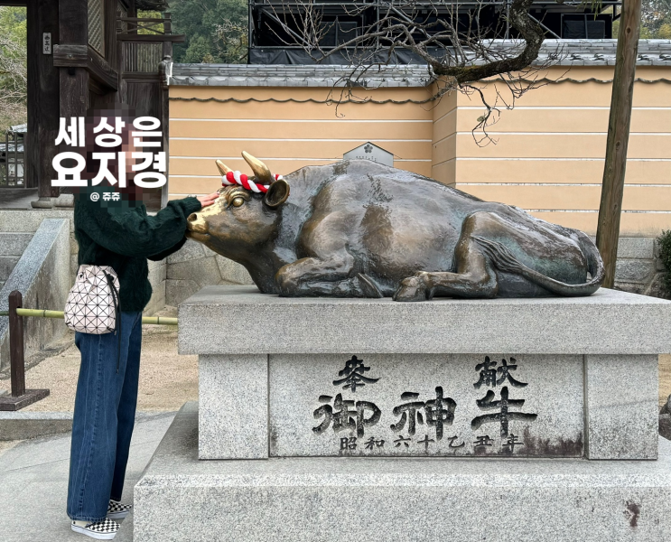  2일차 | 이치란과 텐진호르몬을 곁들인 후쿠오카 다자이후 지하철 여행(하카타 출발)