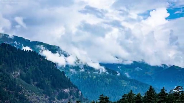  수산물품질관리사 자격증 , 편하게 성공한 팁