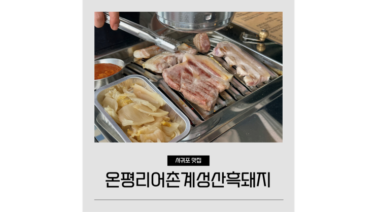 섭지코지 맛집 온평리어촌계성산흑돼지 제주도민 현지인 추천 찐맛집 섭지코지 맛집 온평리어촌계성산흑돼지 제주도민 현지인 추천 찐맛집