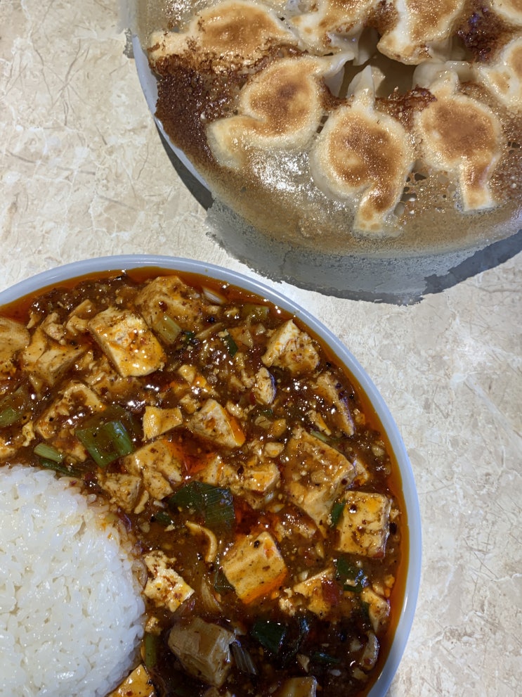  신설동 맛집 킹수제만두 마파두부 육즙이 남다른 고기새우군만두