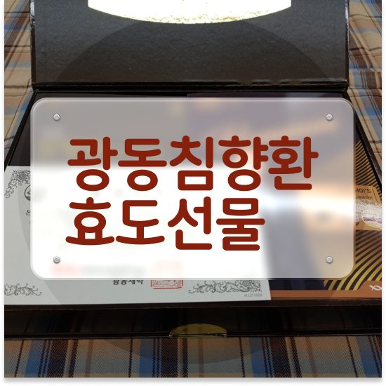  너무피곤해요 집중력 침향환 프리미엄 구매 하기