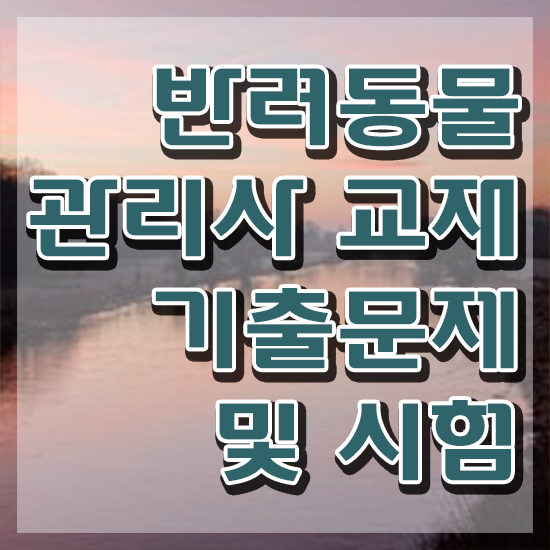  반려동물관리사 취업 , 반려동물관리사 자격증 취득한 과정 총 정리