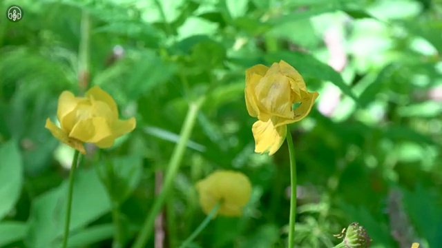  수산물 품질관리사 자격증 , 합격한 후기
