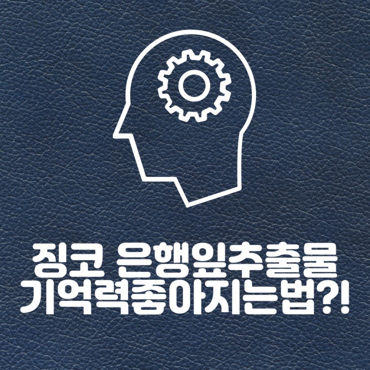  징코 은행잎추출물 기억력좋아지는법?!