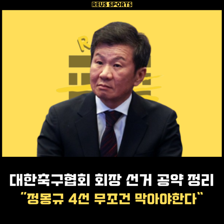 대한축구협회 회장 선거 <b>정몽규 허정무</b> 신문선 공약 누가 될까?