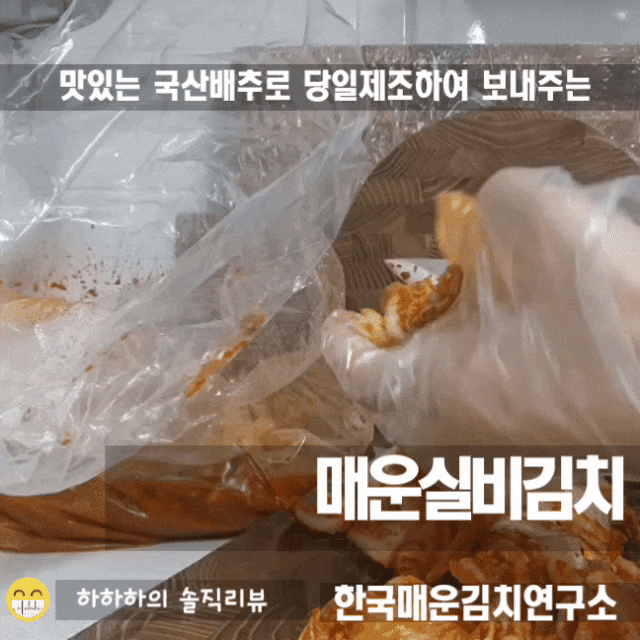  실비김치 뜻과 김치주문 당일제조 매운실비김치 리뷰