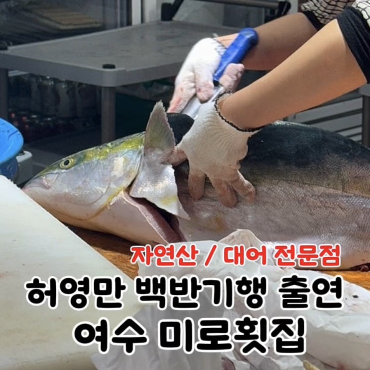  여수 미로횟집 | 자연산 대방어 대어 활어 횟집 추천