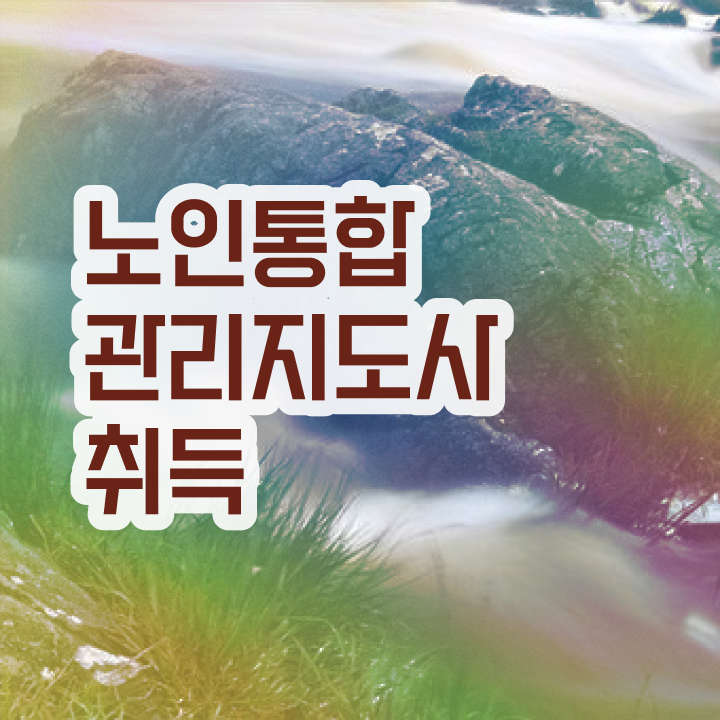  노인지도사자격증 , 노인통합관리지도사 자격증 독학으로 준비한 과정 및 취업정보