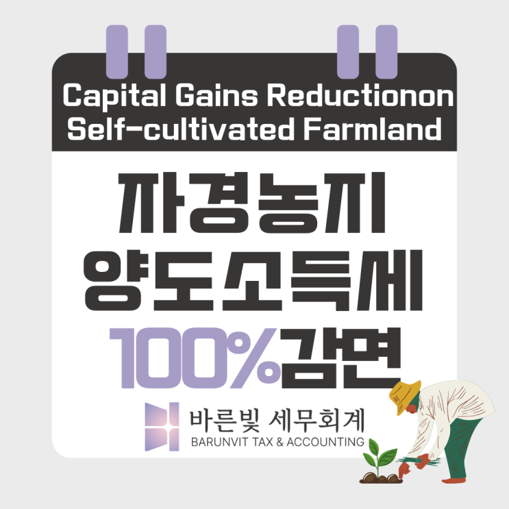  [양도세] 8년 자경농지 양도세 100% 감면요건·준비자료 (대전세무사)