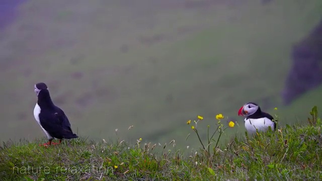 부산 부산진 전포동,부전동,범천동 청년배관케어 원룸세면대막힘 해결 챌린지