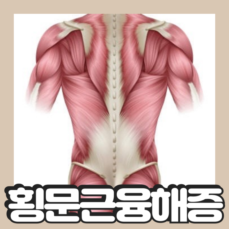 횡문근융해증 간수치 회복 예방