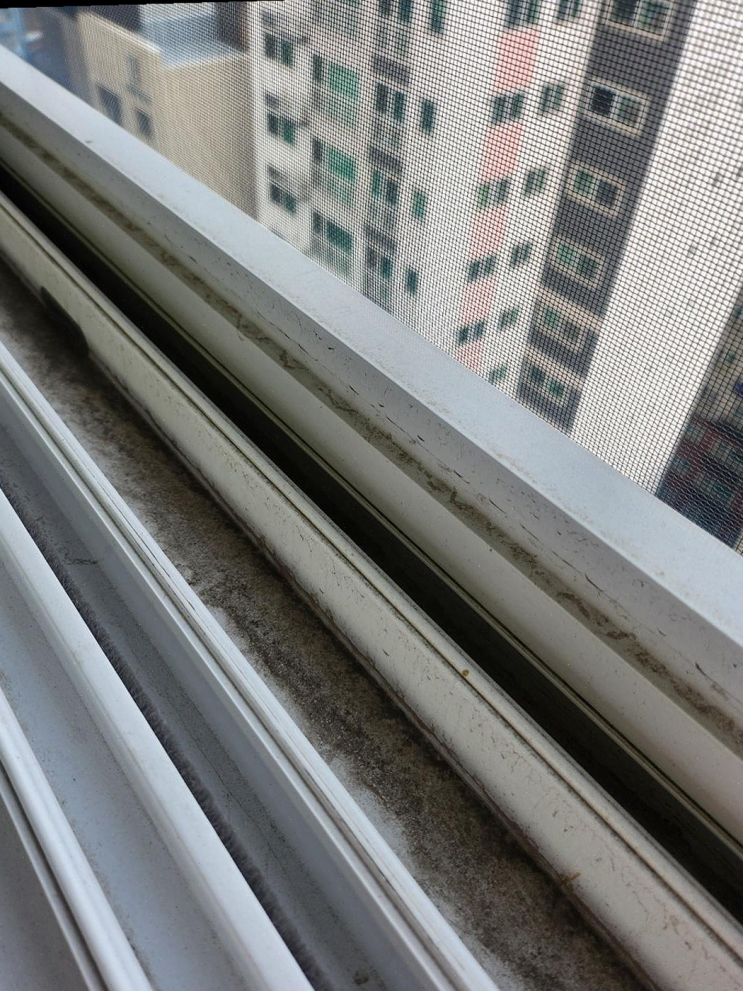  꽃을든남자크린몰 남양주점, 24시간 청소 서비스로 깨끗한 집과 반려동물의 행복을 동시에