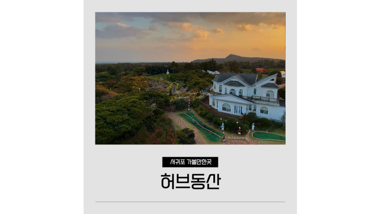  제주 겨울 여행 표선 허브동산 동백꽃 족욕체험 서귀포 가볼만한곳