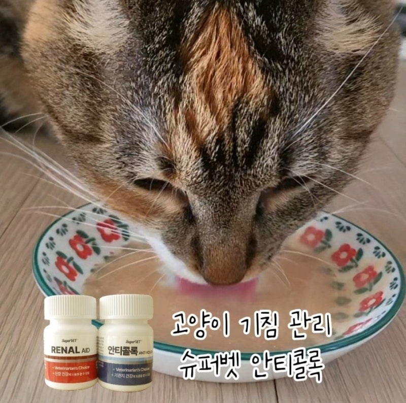고양이 기관지 영양제 기침 켁켁거림에는 슈퍼벳 안티콜록으로 관리