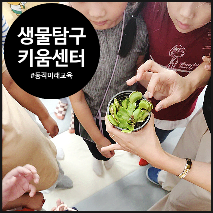  [초등 생명과학] 수상한 식물들의 비밀을 풀어가는 시간을 가져 보자 | 동작구 | 키움센터 | 미래교육 | 방과후 | 오해피데이지