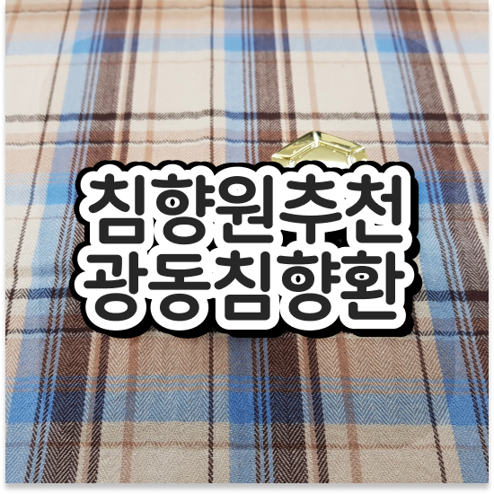  기운없을 때 직장상사명절선물 알아봤어요