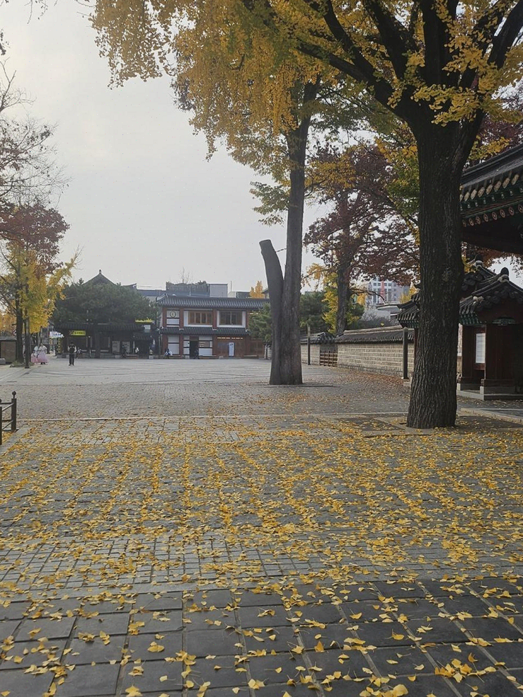  소리풍경 한옥숙박, 전주한옥마을에서 특별한 체험과 조식 제공