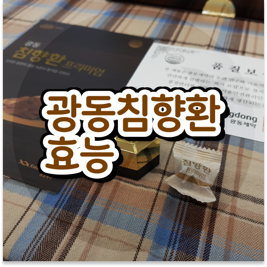  침향환 성분 건강하게 침향단 프리미엄 총정리