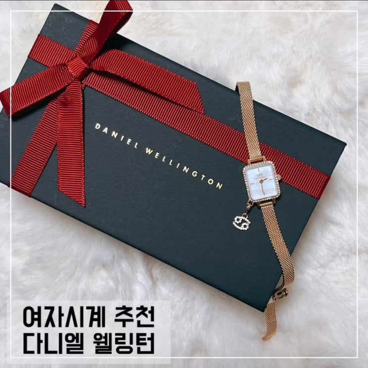 30대여자시계 추천 다니엘 웰링턴; 여자 시계 브랜드 여자 시계 추천