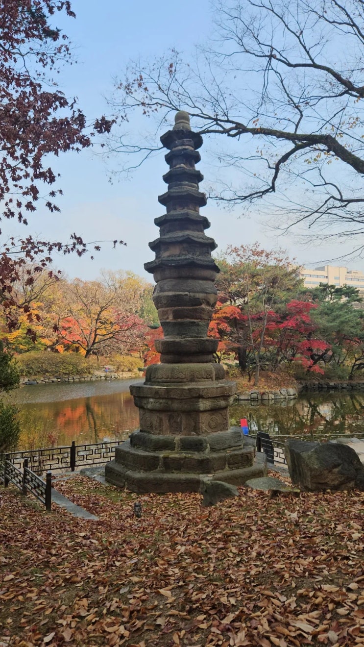 비상계엄' 수사 경찰, <b>경찰청장</b>·<b>서울청장</b> 등 휴대전화 <b>압수</b>