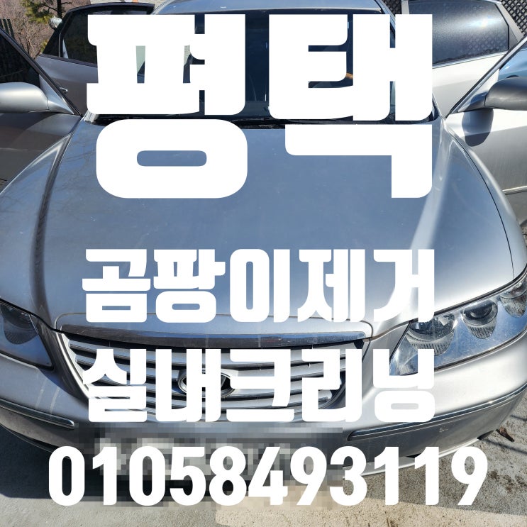  평택실내세차 오래 방치된 차량내 곰팡이제거 실내크리닝 후기