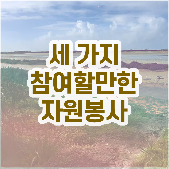  자원봉사지도사 필기 , 자원봉사지도사 자격증 온라인으로 합격한 팁 최신정보 공유