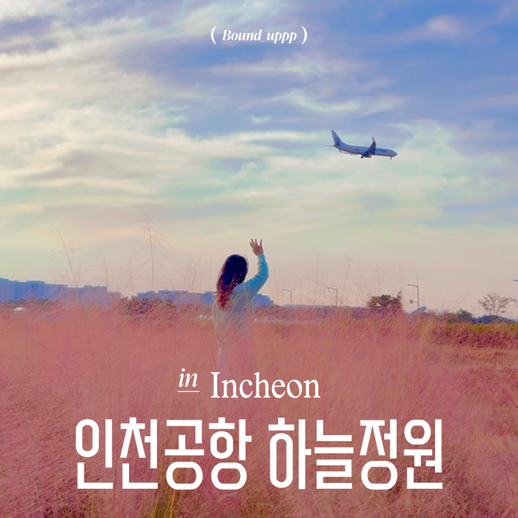  인천공항 하늘정원 주차장 비행기 억새 핑크뮬리