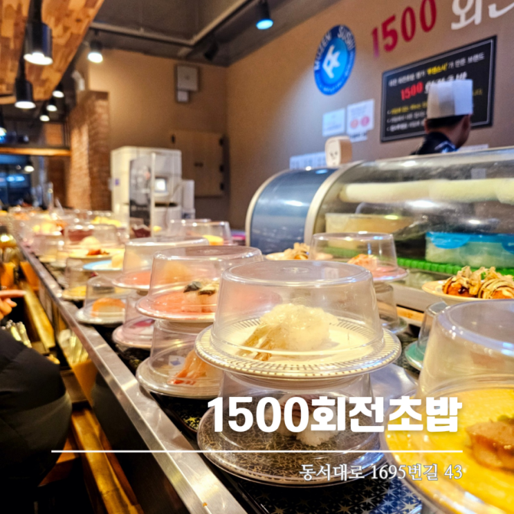  1500회전초밥 쯔양도 다녀간 대전복합터미널맛집이에요