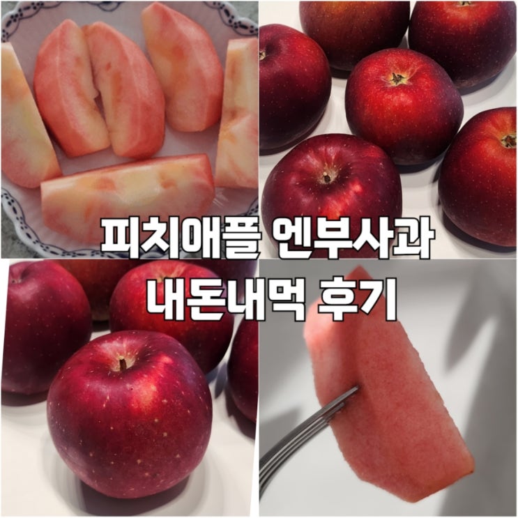  프리미엄 사과 내돈내산 엔부사과 후기