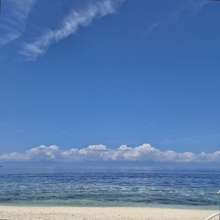 필리핀 세부, 보홀 7박 9일 여행 일정 및 비용 정리(세부 in, 보홀 out)