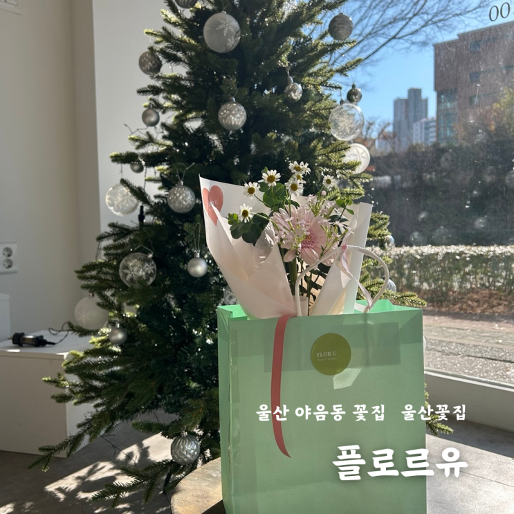  울산 야음동 꽃집 플로르유 한송이 꽃다발