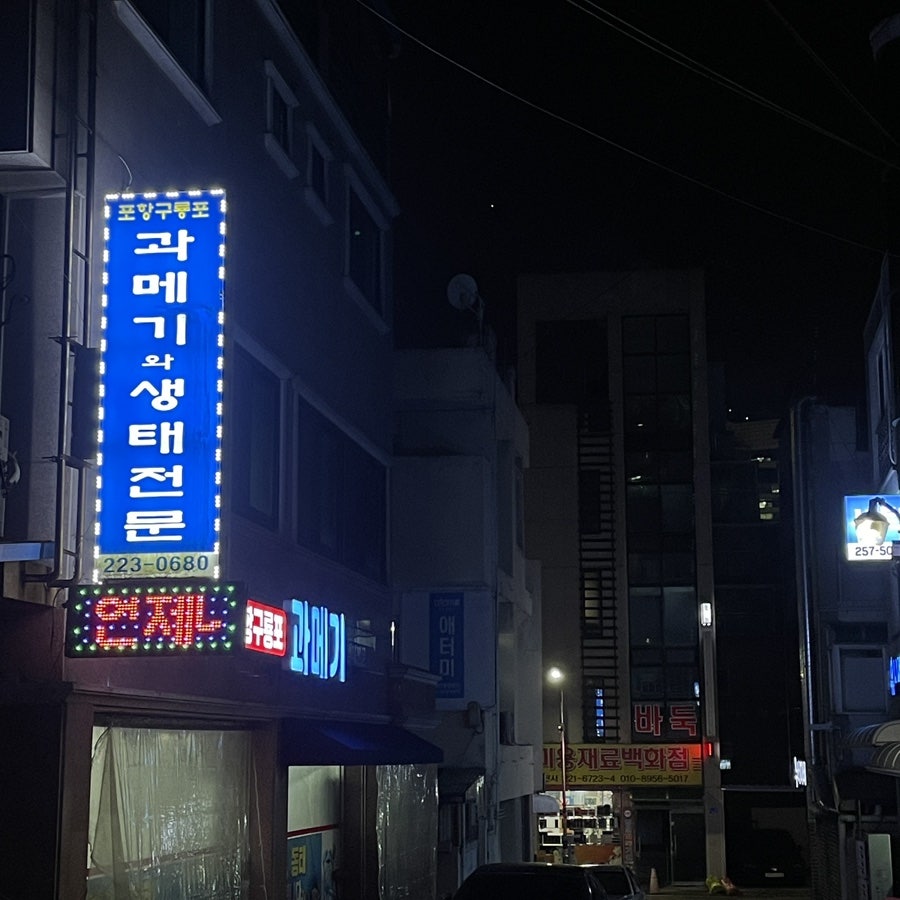 포항 구룡포과메기와생태전문 사진 1