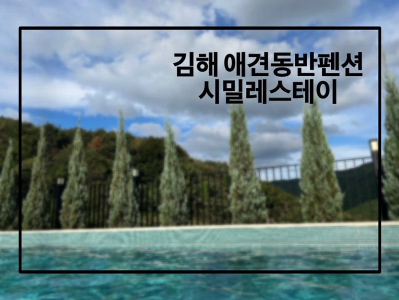 사진 4