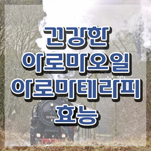  아로마뷰티diy지도사 워크샵 , 아로마뷰티DIY지도사 자격증 쉽고 간편하게 학습한 후기 핵심 정보