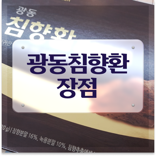  광동 침향환 프리미엄 추천 기력찾기 알아봤어요