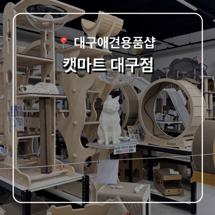  대구 24시애견용품 무인펫샵 캣마트대구점